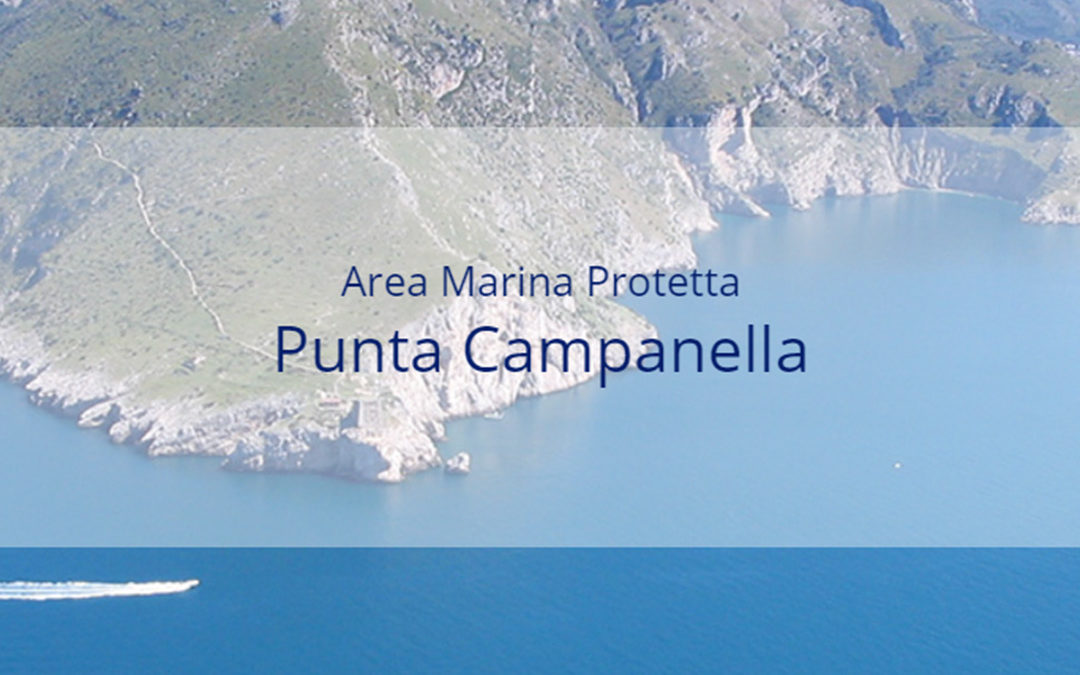 Area Marina Protetta di Punta Campanella